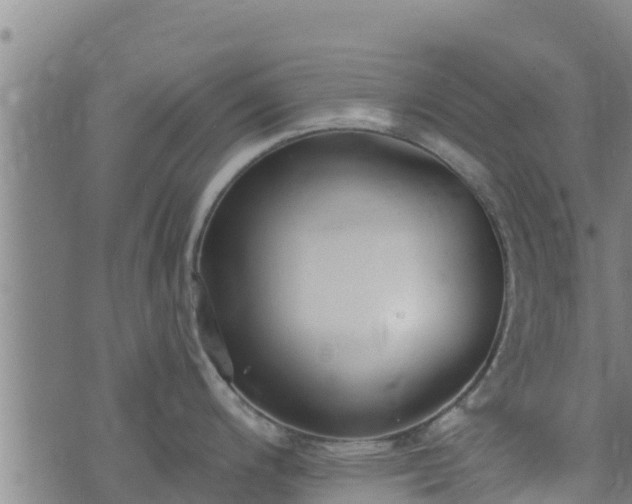 X0000074941200200609081343