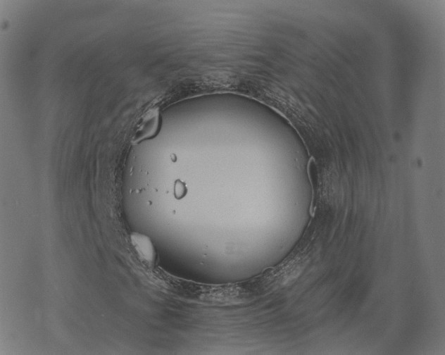 X0000074941201200609081342