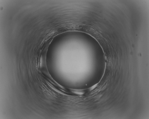 X0000074941202200609081342