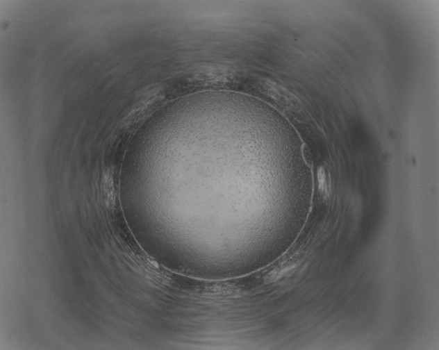 X0000074941203200609081342