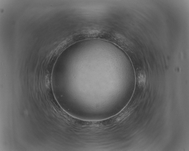 X0000074941204200609081342