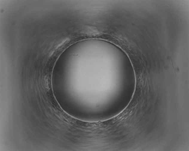 X0000074941205200609081342