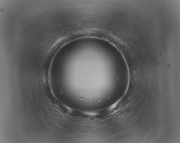 X0000074941206200609081342