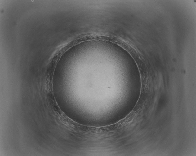 X0000074941207200609081342