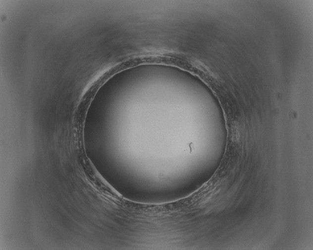 X0000074941208200609081342