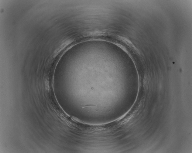 X0000074941209200609081342