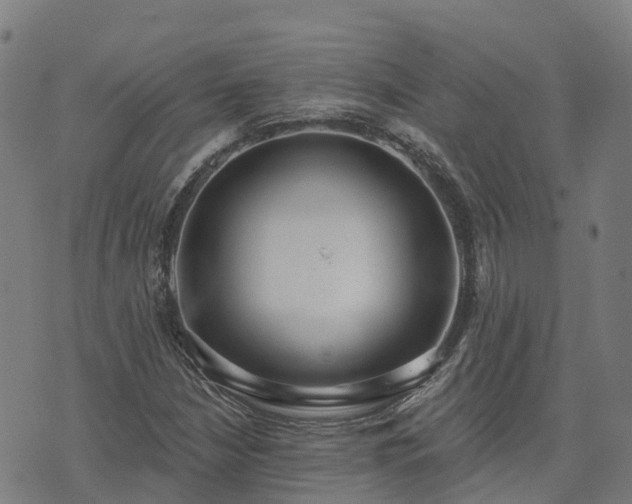 X0000074941210200609081342