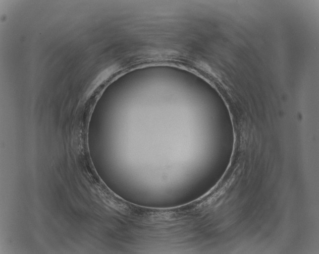 X0000074941211200609081342