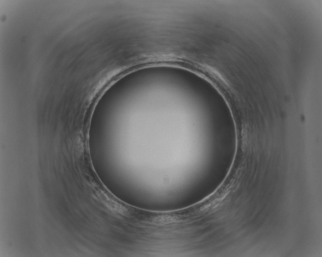 X0000074941212200609081342