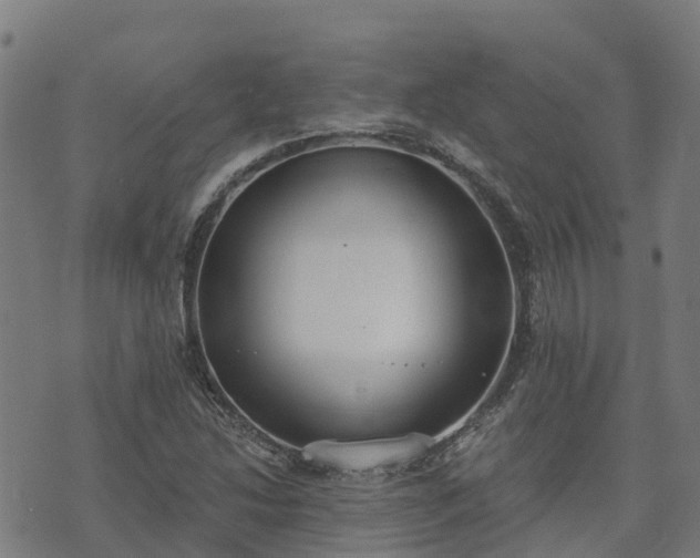 X0000074941214200609081342