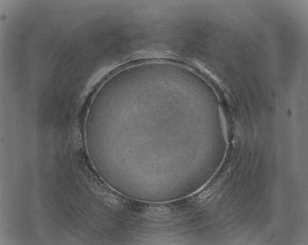 X0000074941215200609081342