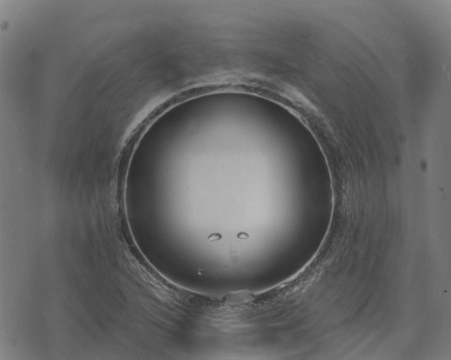 X0000074941216200609081342