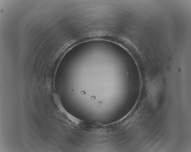 X0000074941217200609081342