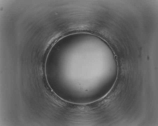 X0000074941218200609081342