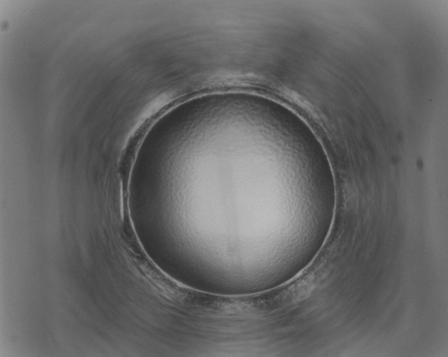 X0000074941219200609081342