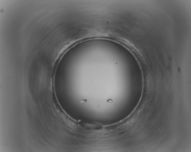 X0000074941220200609081342