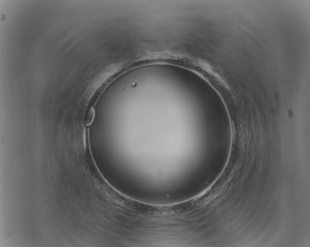 X0000074941221200609081342