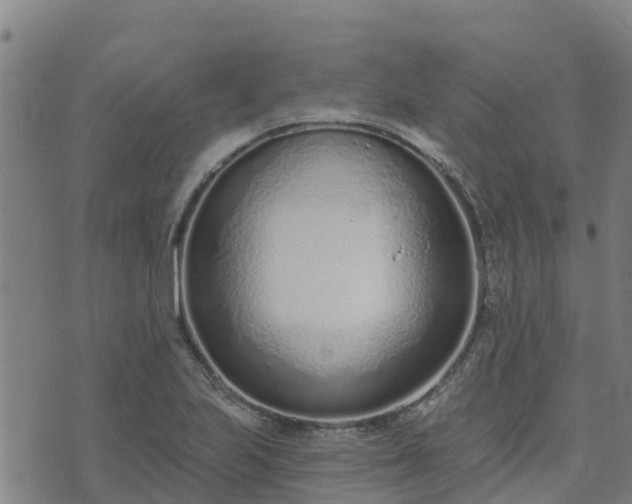 X0000074941223200609081342