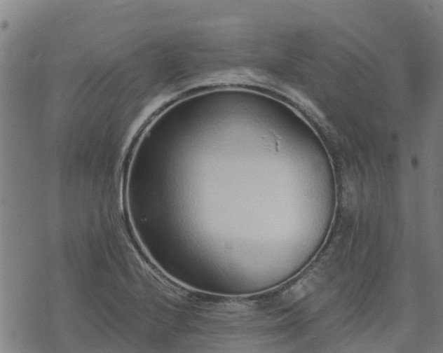 X0000074941224200609081342