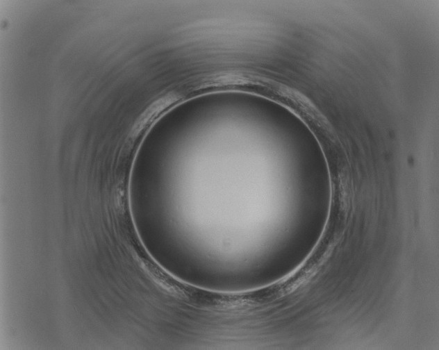 X0000074941225200609081342