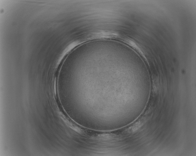 X0000074941227200609081343