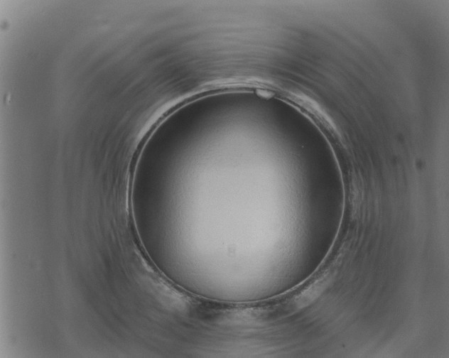 X0000074941228200609081343