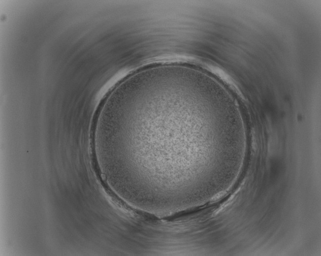 X0000074941229200609081343