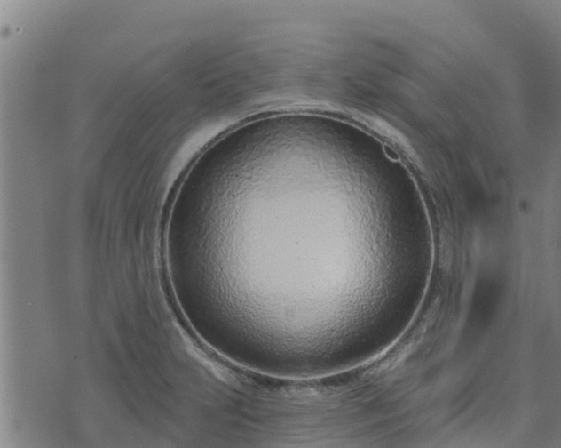 X0000074941231200609081343