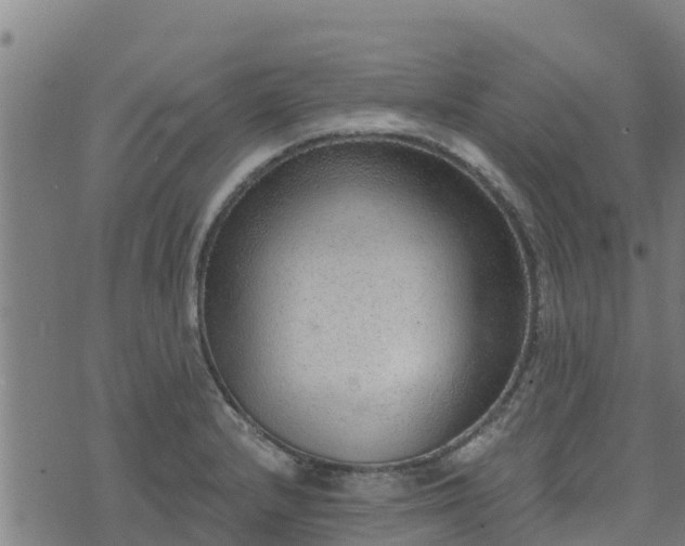 X0000074941232200609081343