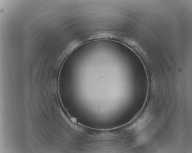 X0000074941233200609081343