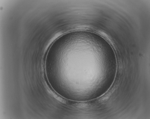 X0000074941235200609081343