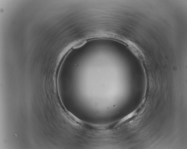 X0000074941238200609081343