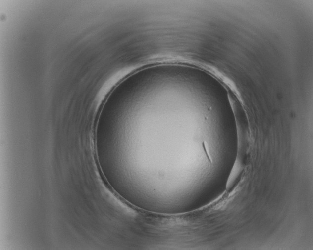 X0000074941239200609081343