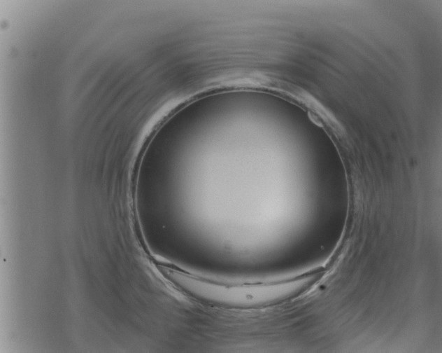 X0000074941240200609081343