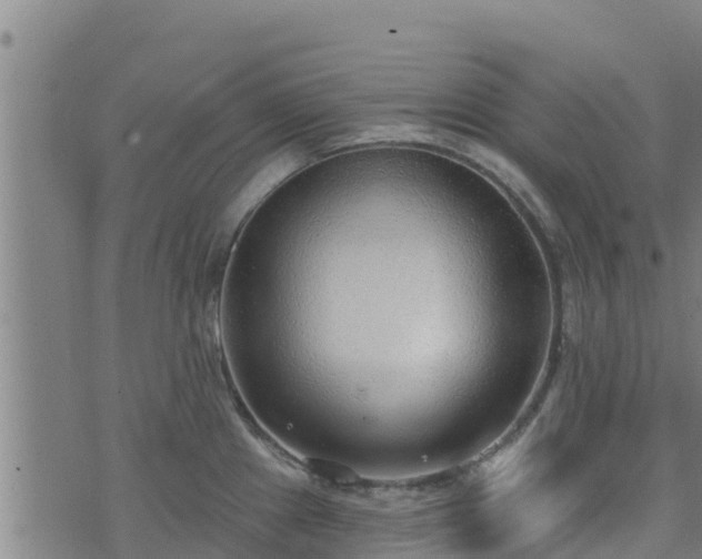 X0000074941241200609081343