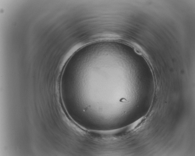 X0000074941243200609081343