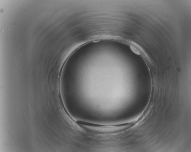 X0000074941244200609081343