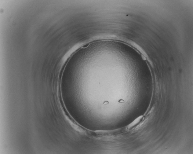 X0000074941245200609081343