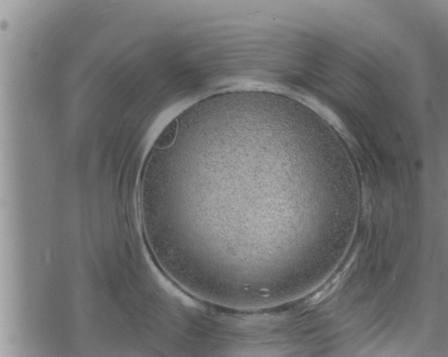 X0000074941247200609081343