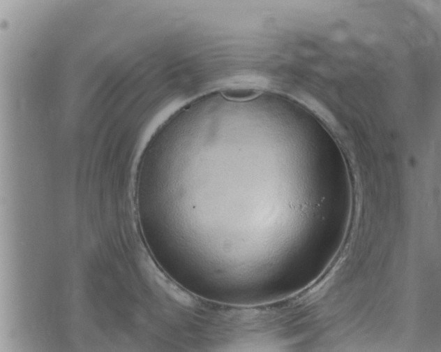 X0000074941248200609081343