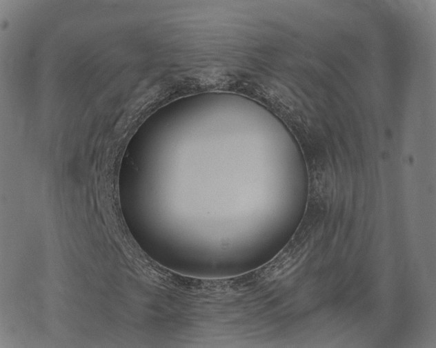 X0000074941249200609081342