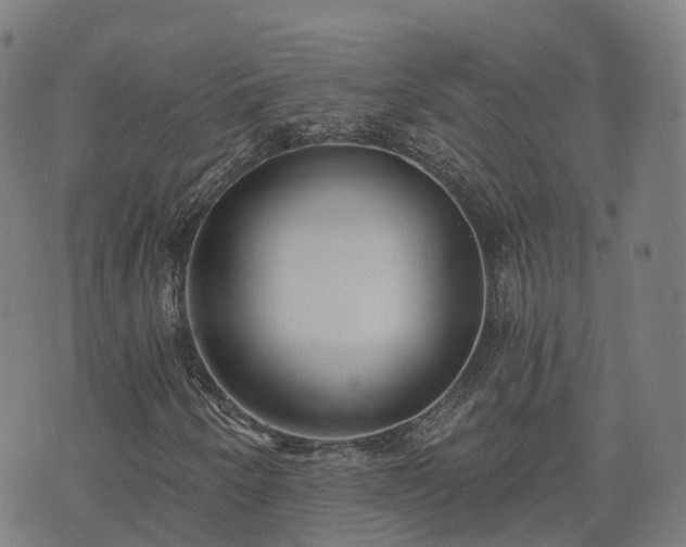 X0000074941250200609081342