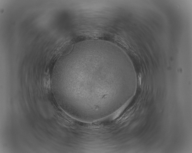 X0000074941251200609081342