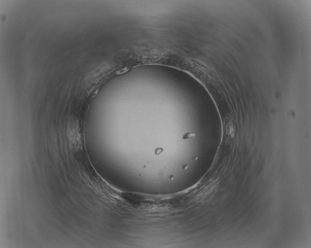 X0000074941252200609081342