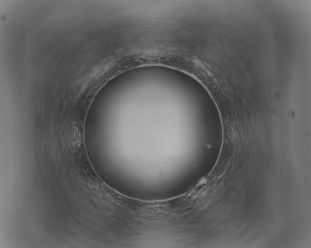 X0000074941253200609081342