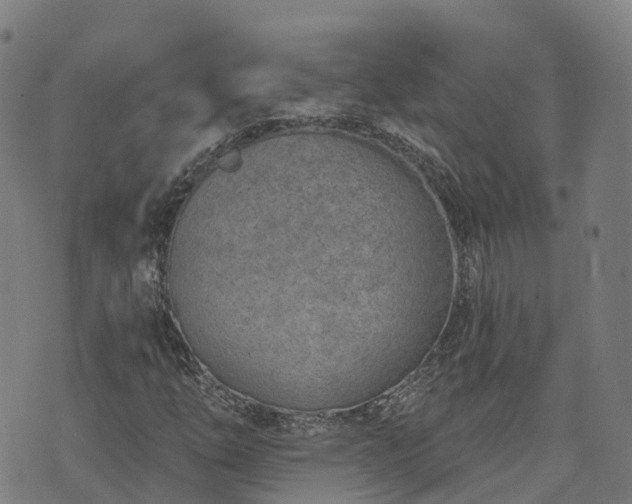 X0000074941254200609081342