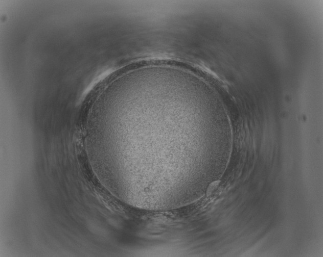 X0000074941255200609081342