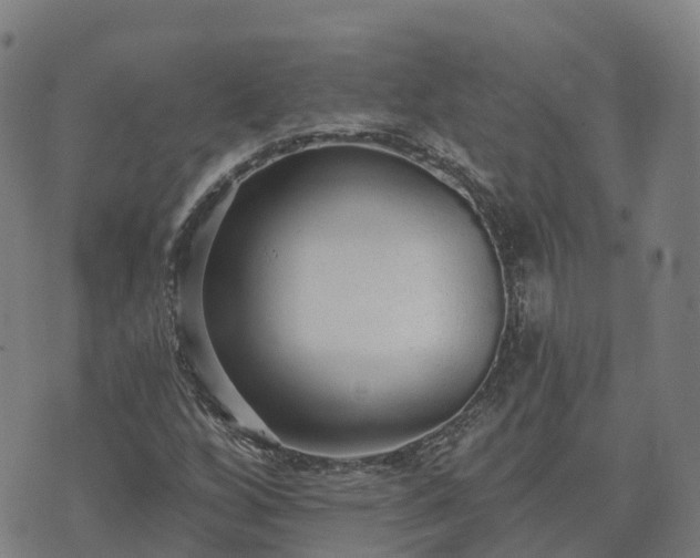 X0000074941256200609081342