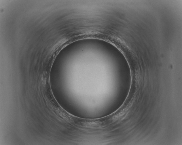 X0000074941257200609081342