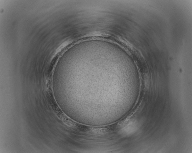 X0000074941258200609081342